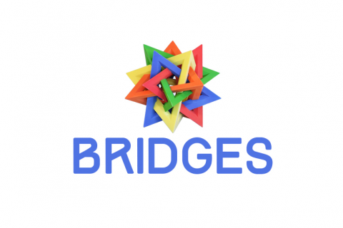 Bridges Organization